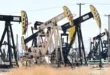 This picture shows oil pumpjacks along a section of Highway 33 known as the Petroleum Highway north of McKittrick in Kern County, California. — AFP/File
